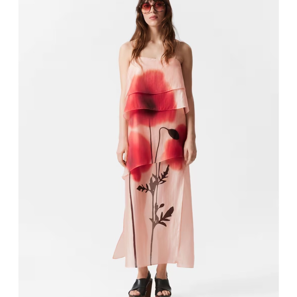 & Other Stories Pink and Red Floral Maxi Dress